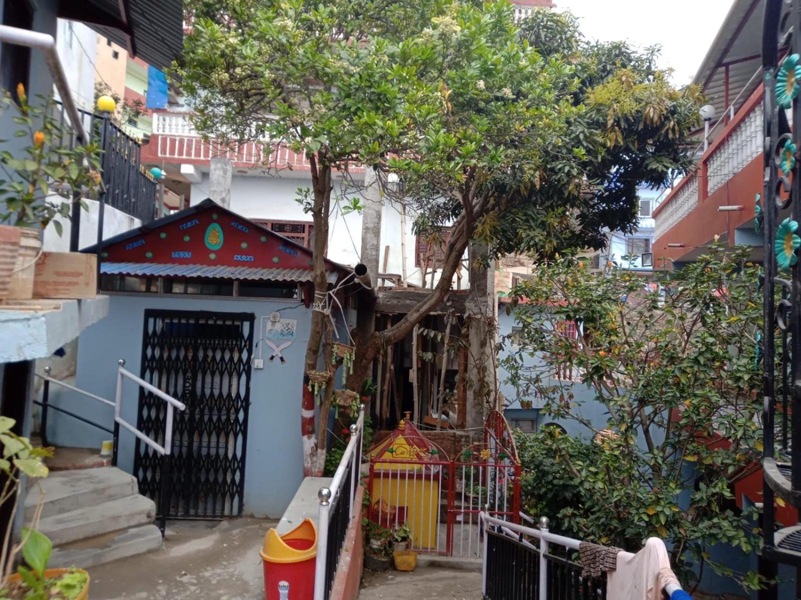 Elephant Nepal, Homestay, Tansen