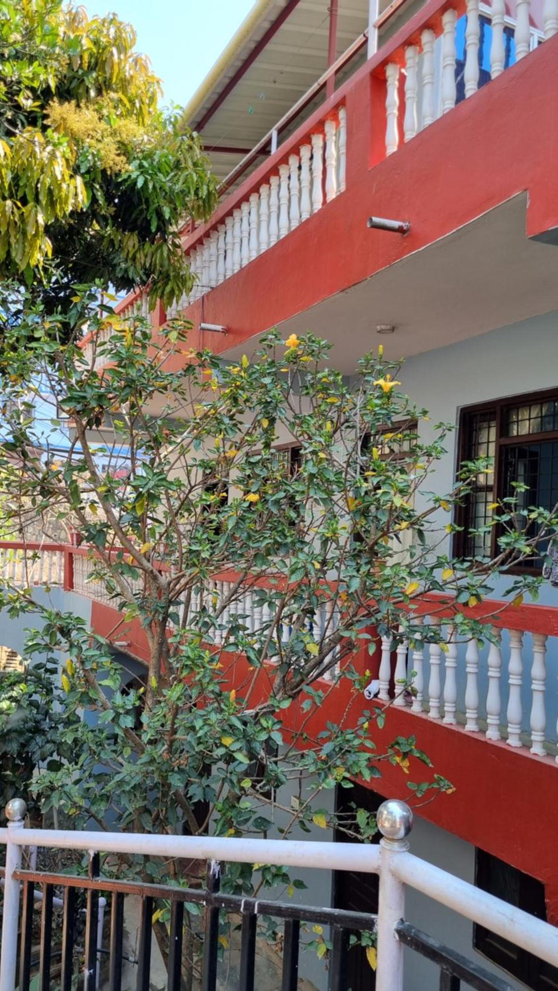 Elephant Nepal, Homestay, Homestay