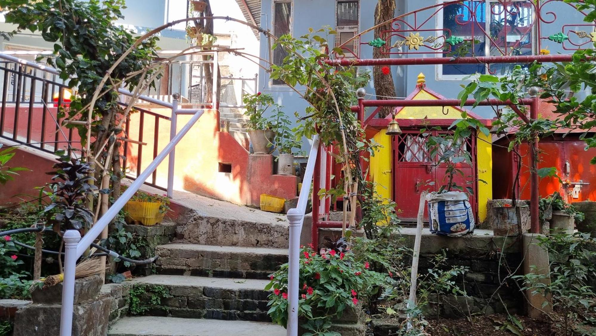 Elephant Nepal, Homestay, Homestay