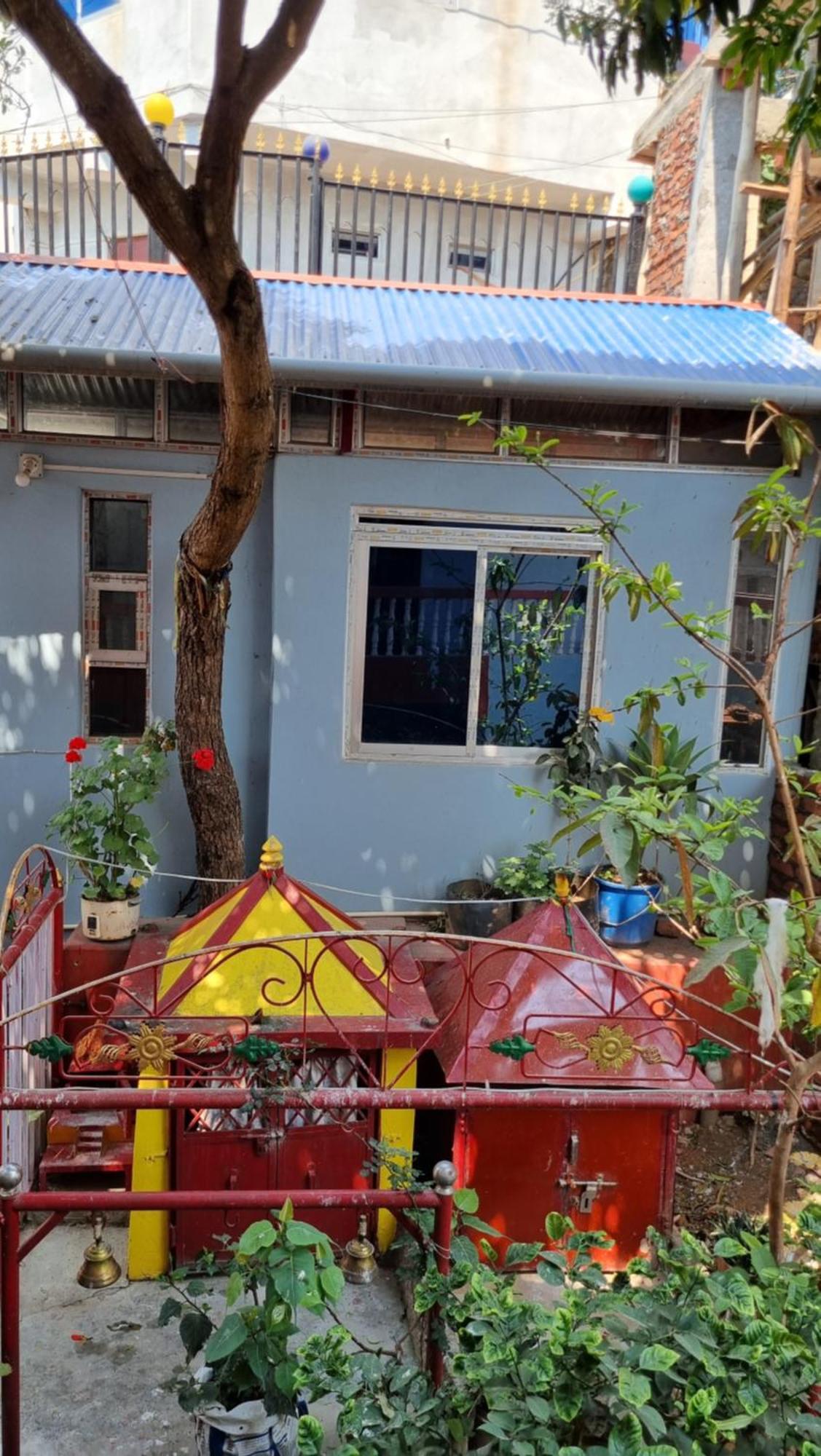 Elephant Nepal, Homestay,