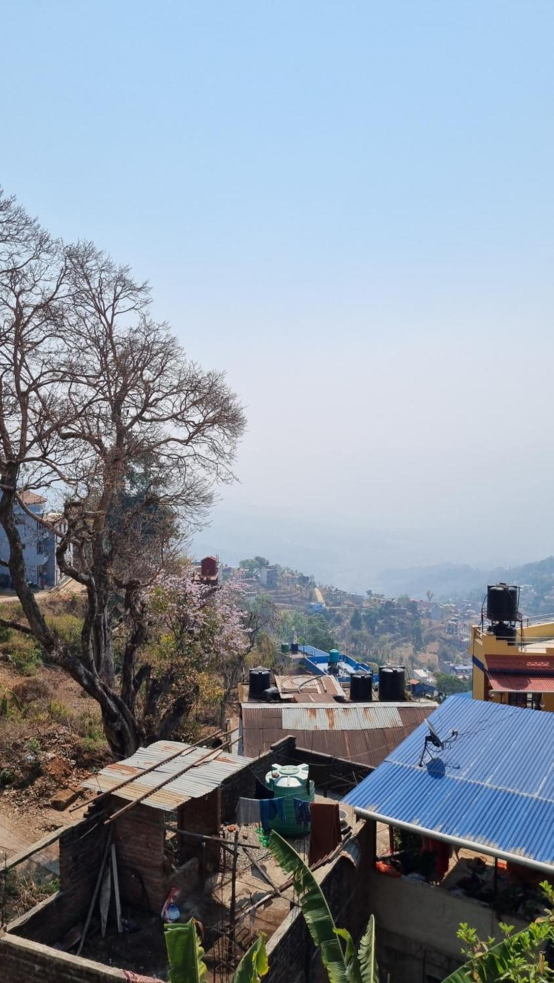 Elephant Nepal, Homestay,