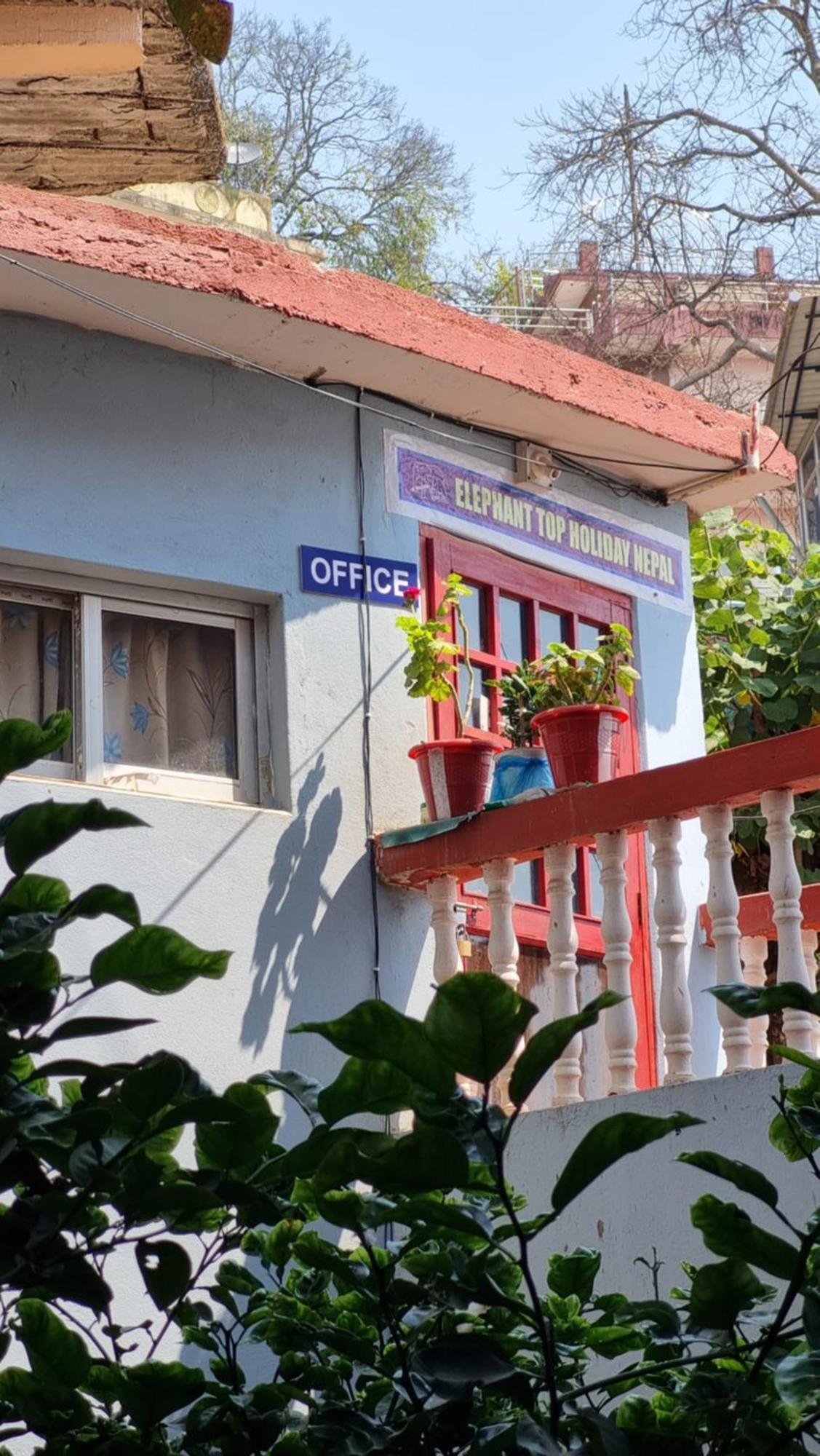 Homestay Elephant Nepal, Homestay,